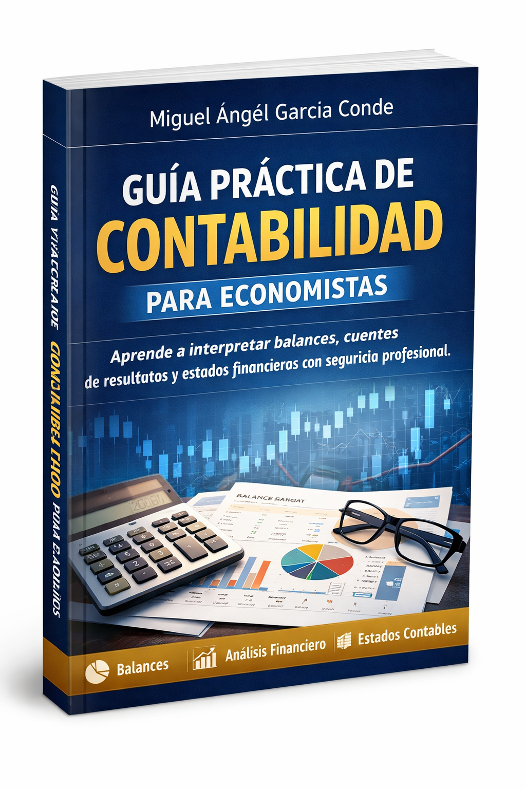 Guía Práctica de Contabilidad para Economistas